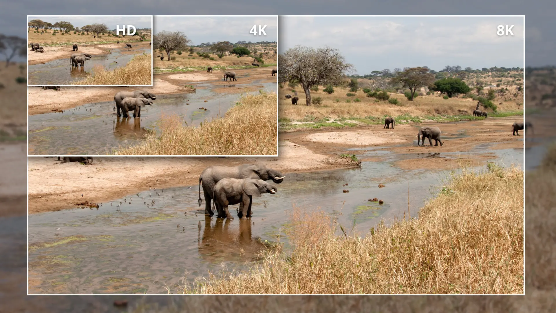 Cinegy Introduces Realtime Upscaling and Interpolation at IBC2025