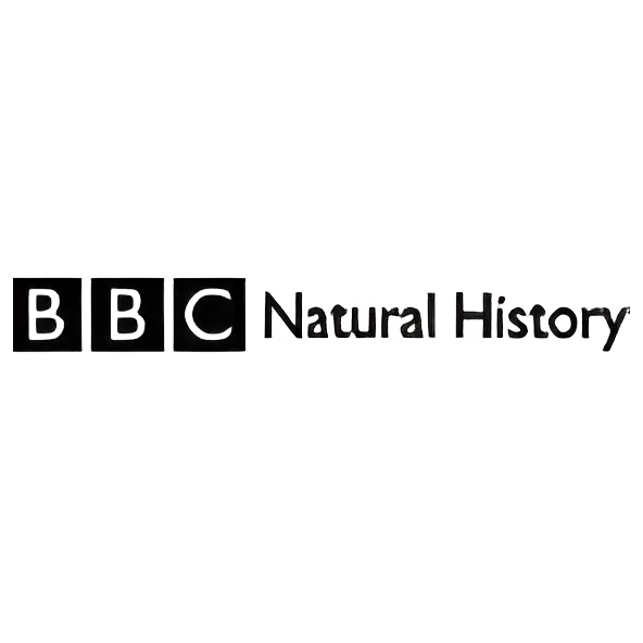 BBC Natural History